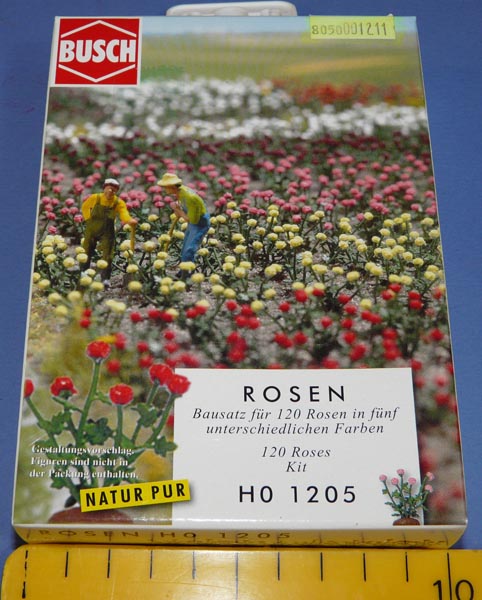59060a5d62721_KRRosesBusch01.JPG.647ee8a74de439d9def0674aaf486aed.JPG