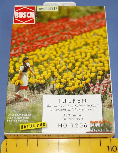 59060a6bc1155_KRTulipesBusch01.JPG.37d0e5e460eed7ce4221fea314f28f26.JPG