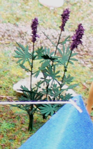 59060c0bc2f36_KRGreenline17.JPG.fb67c9bf3f5f252408183af7bcd81de1.JPG